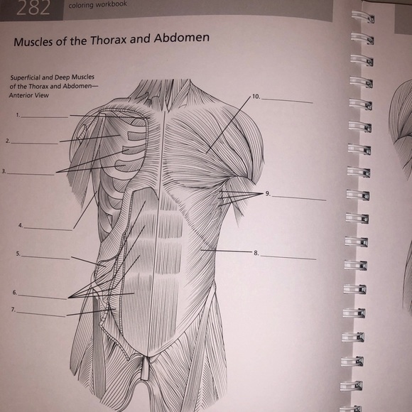 🫀 ⚕️Barron's The Anatomy Student's Self-Test Visual Dictionary Book Interactive - Picture 5 of 9